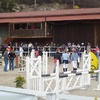 Concours d'automne 2010