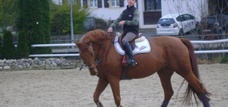Anthony et Rebella, 2ème du Championnat Romand Juniors N