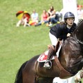 Les cavalier du manège
