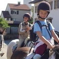 Écoles d'équitation